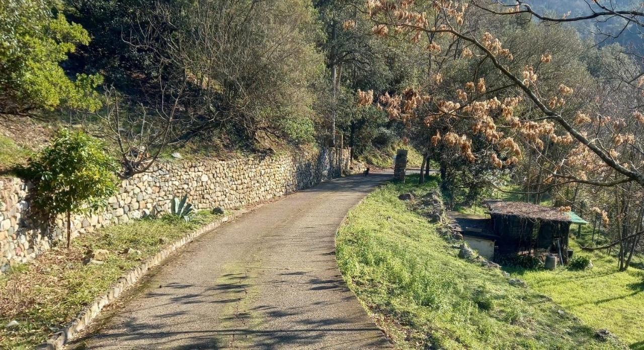 Villa Ai Sugheri Deiva Marina Kültér fotó